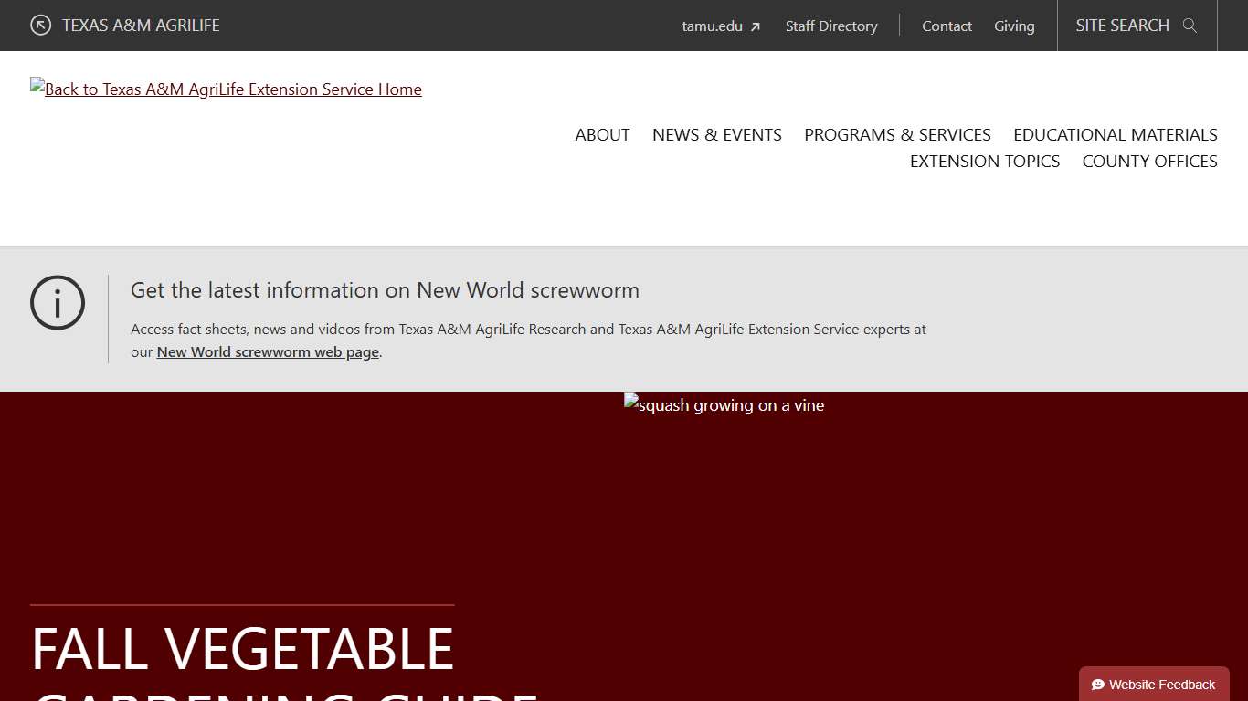 Fall Vegetable Gardening Guide for Texas - Texas A&M AgriLife Extension Service